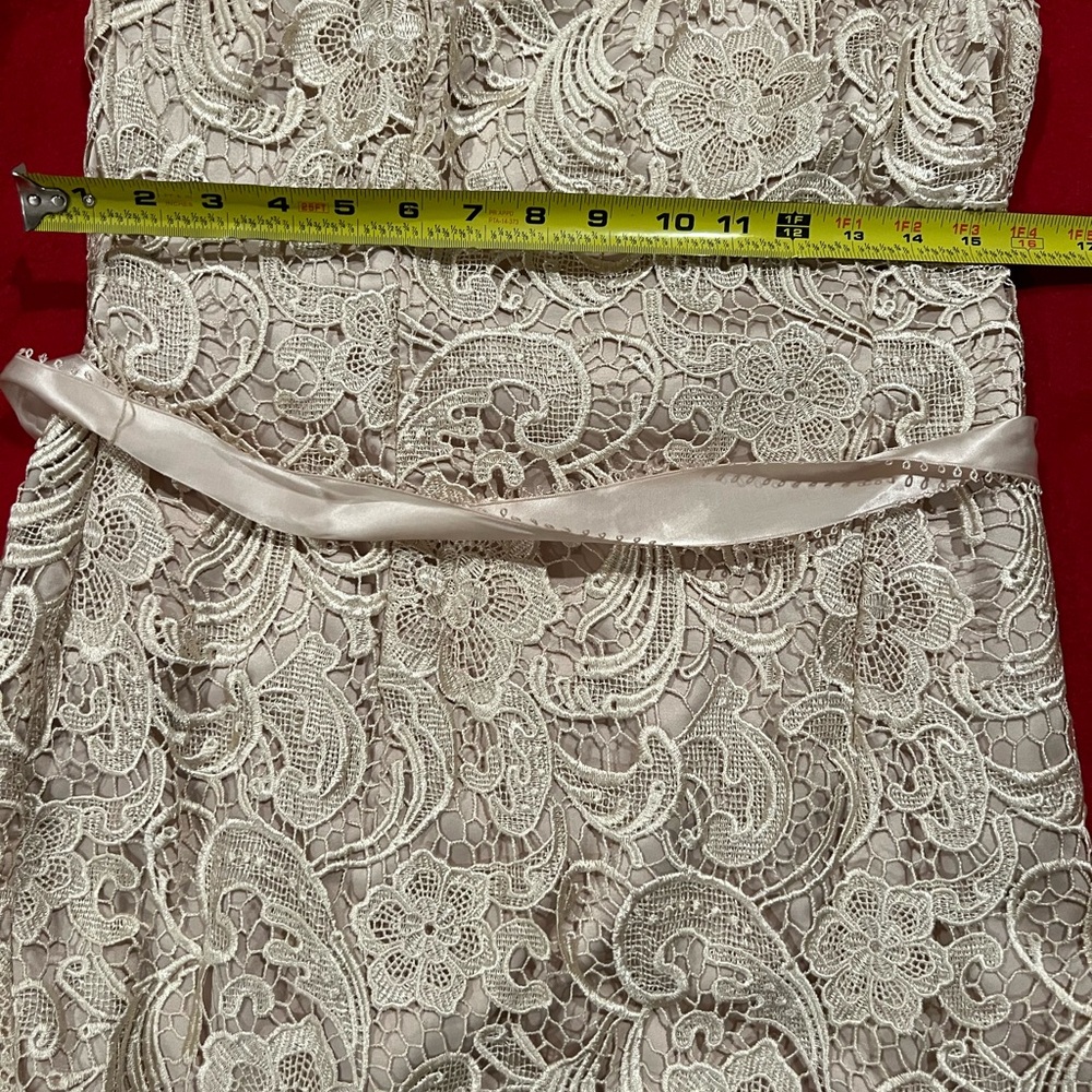 Adrianna Papell Evening Gown in Cream - Picture 4 of 7